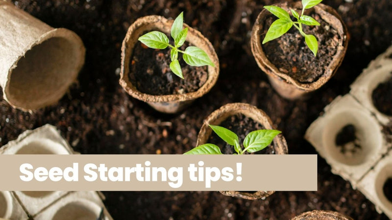 Indoor Farmer Seed Starting Tips - Indoor Farmer