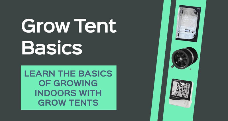 Growing Indoors with Grow Tents - Indoor Farmer