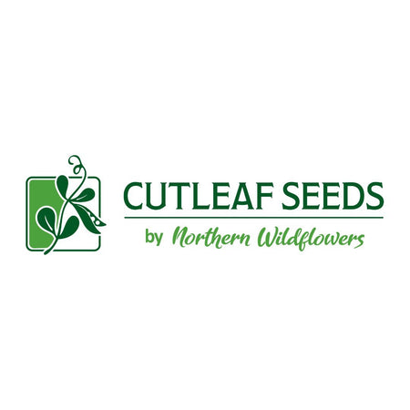 Cutleaf Seeds by Northern Wildflowers - Indoor Farmer