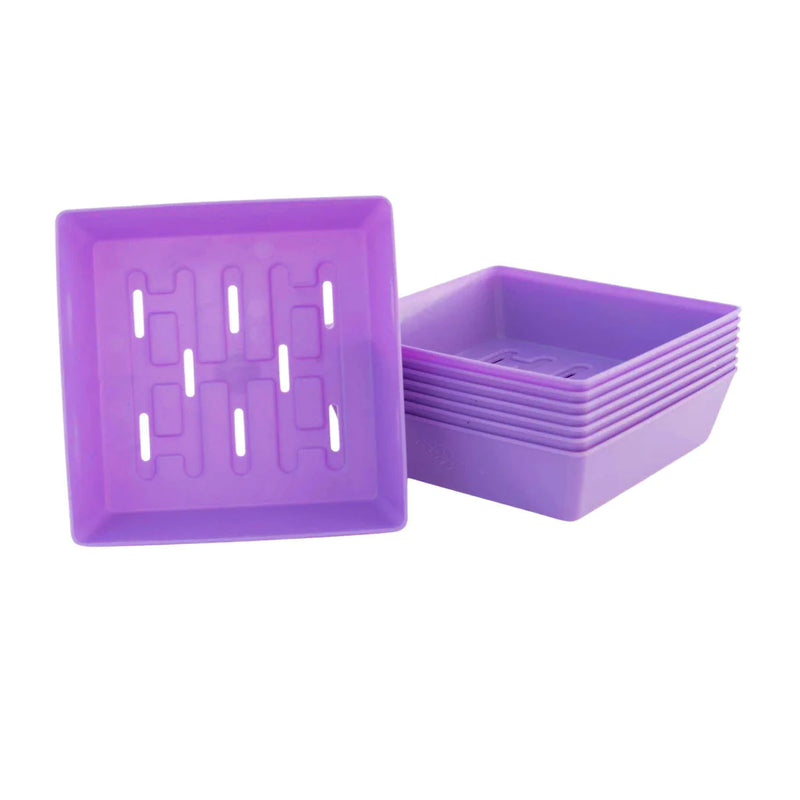 Bootstrap Farmer 5X5 Shallow Microgreen Trays