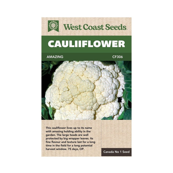 Amazing Cauliflower Seeds 0.1g (approx. 19 seeds) - Indoor Farmer