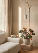 Aspect Grow Light with Luna Wooden Wall Mount Set White - Indoor Farmer
