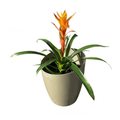 Autopot Khloris Extension Kit Metallic Sage - Indoor Farmer