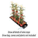 Autopot Tray2Grow System - Indoor Farmer