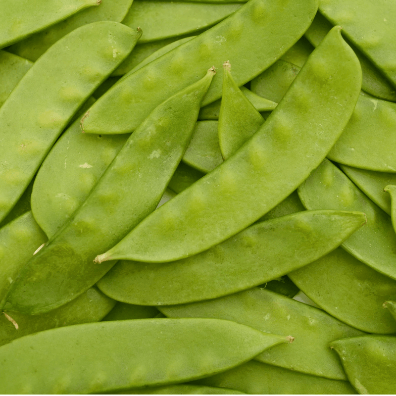 Banana Nano Pea Seeds (Brazilian Pea) Approx. 15 - 20 seeds - Indoor Farmer