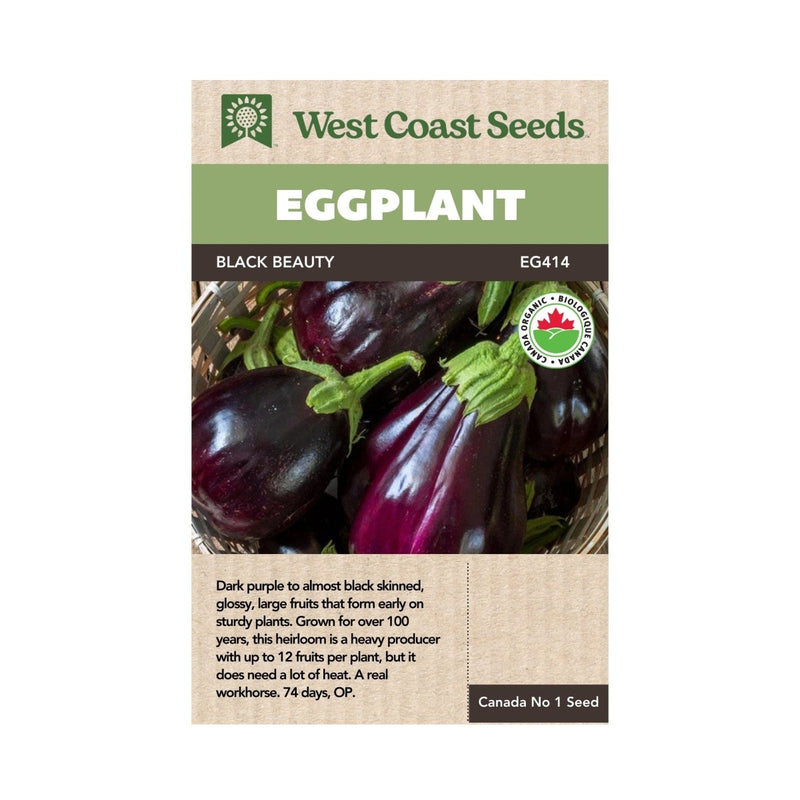 Black Beauty Organic Eggplant Seeds 0.25g (Approx 55 seeds) - Indoor Farmer