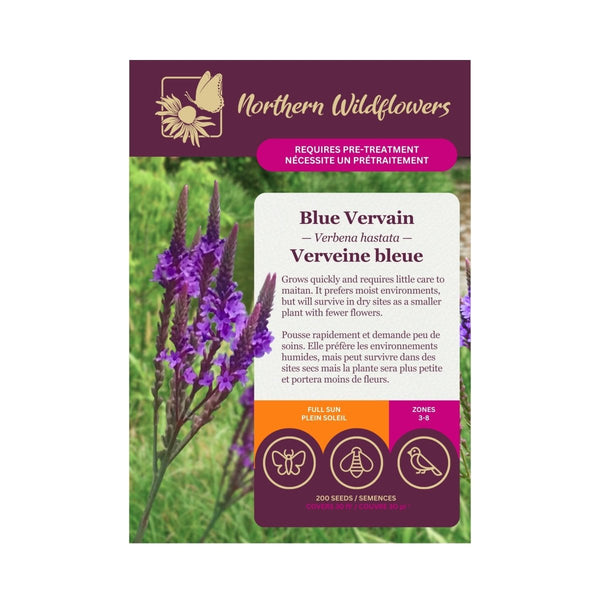 Blue Vervain Seeds Approx. 200 seeds - Indoor Farmer