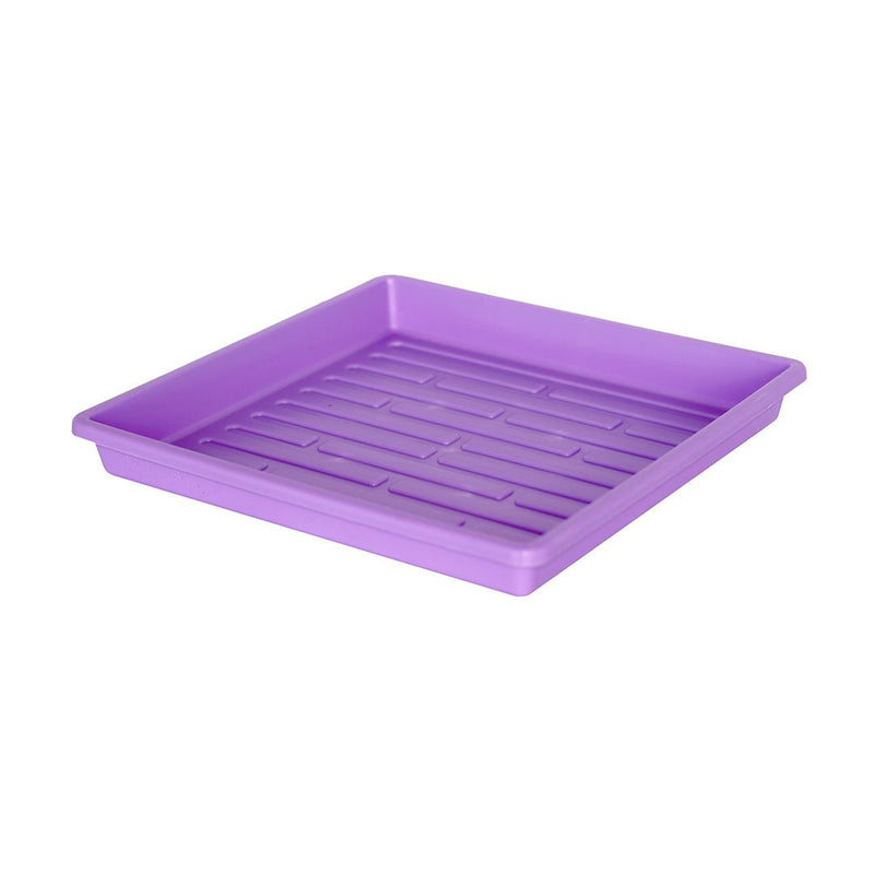 Bootstrap Farmer 1010 Extra Strength Shallow Seed Trays Purple - Indoor Farmer