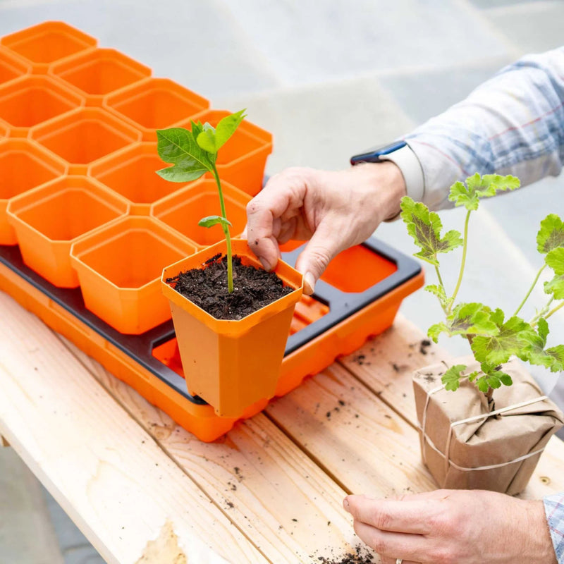 Bootstrap Farmer 18 Pot Insert Tray for 3.3" Pots 2 Inserts - Indoor Farmer