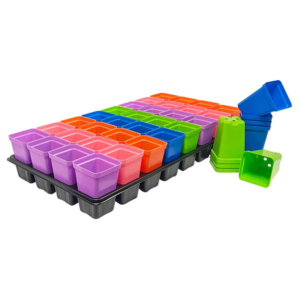 Bootstrap Farmer 32 Cell Reusable Plant Starter Trays with 2.5" Pots Multi - Colour - Indoor Farmer