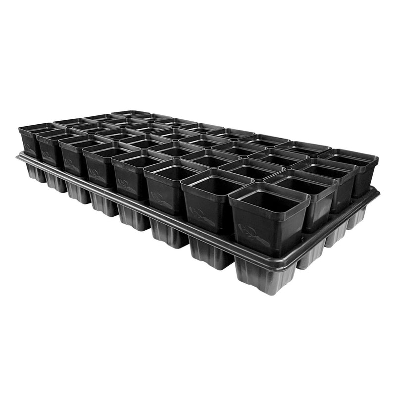 Bootstrap Farmer 32 Cell Reusable Plant Starter Trays with 2.5" Pots Black - Indoor Farmer