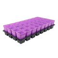 Bootstrap Farmer 32 Cell Reusable Plant Starter Trays with 2.5" Pots Purple - Indoor Farmer