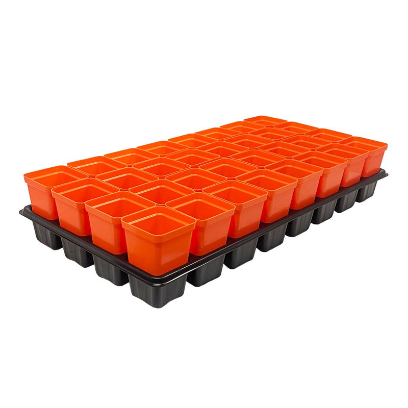 Bootstrap Farmer 32 Cell Reusable Plant Starter Trays with 2.5" Pots Orange - Indoor Farmer