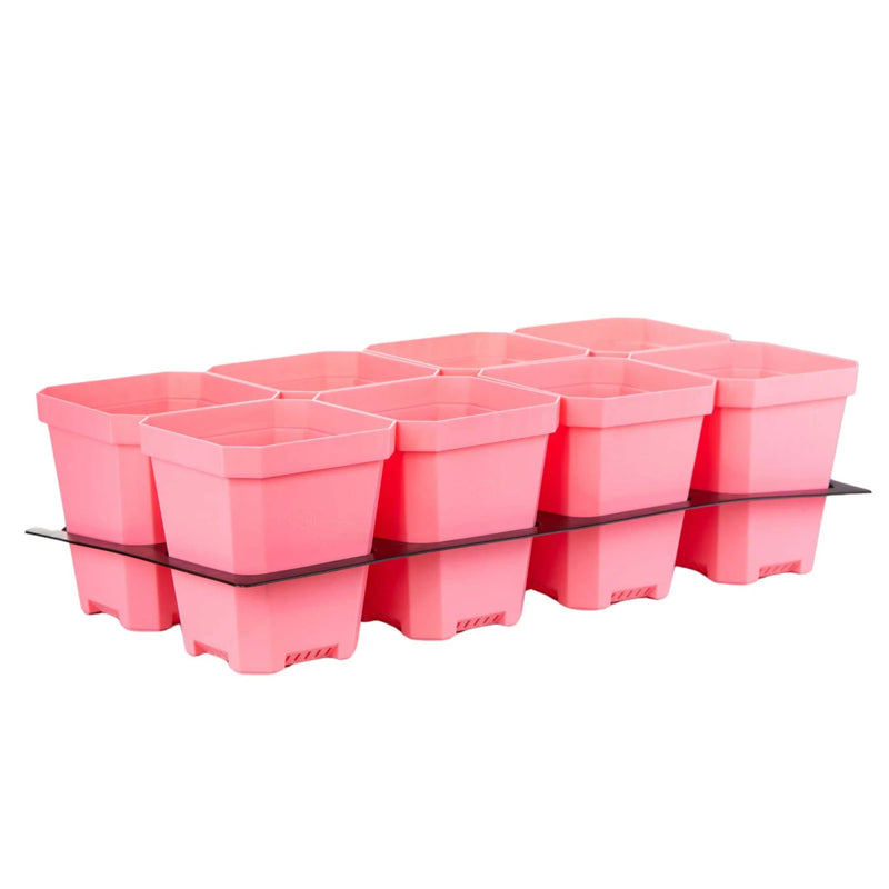 Bootstrap Farmer 5.0" Heavy Duty Seed Starting Pots with Tray Insert Pink - Indoor Farmer
