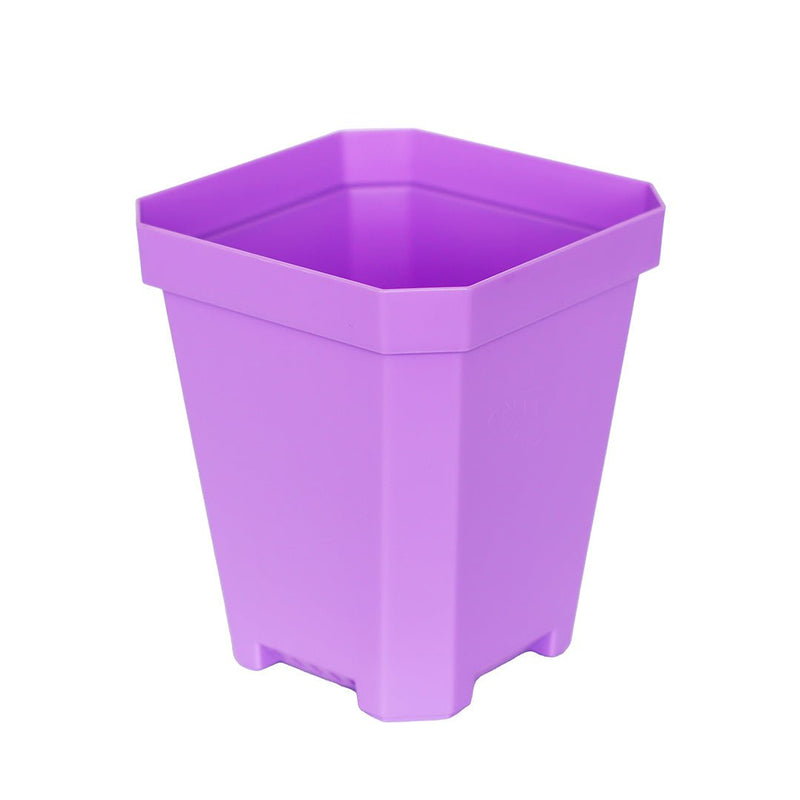 Bootstrap Farmer Heavy Duty Seed Starting Pots 5.0" Purple - Indoor Farmer