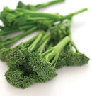 Broccoli - Aspabroc F1 15g(Approx. 60 - 75 Seeds) - Indoor Farmer