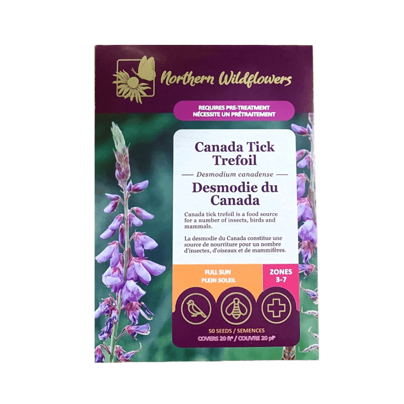 Canada Tick Trefoil Seeds Approx. 50 seeds - Indoor Farmer