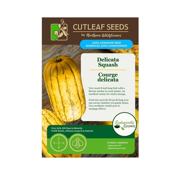 Delicata Squash Seeds Approx. 15 seeds - Indoor Farmer