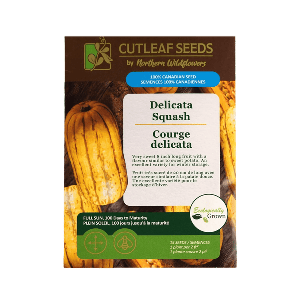 Delicata Squash Seeds Approx. 15 seeds - Indoor Farmer