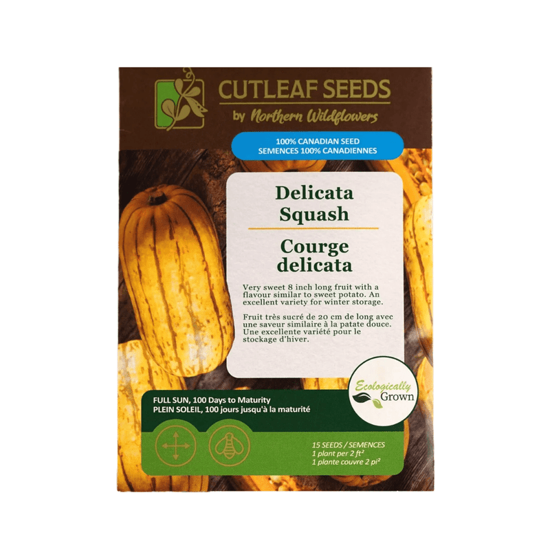 Delicata Squash Seeds Approx. 15 seeds - Indoor Farmer