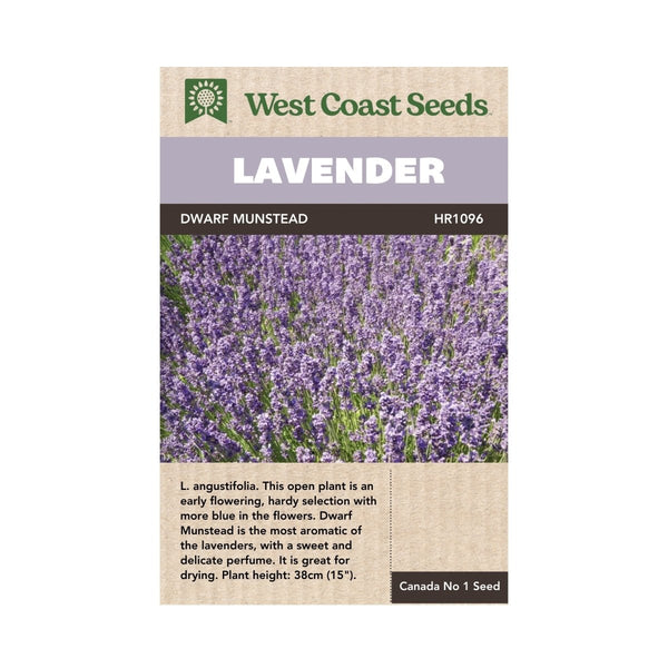 Dwarf Munstead Lavender Seeds 0.125g (Approx. 117 seeds) - Indoor Farmer