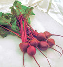 Early Wonder Tall Top Beet Seeds 5g (Approx. 345 seeds) - Indoor Farmer