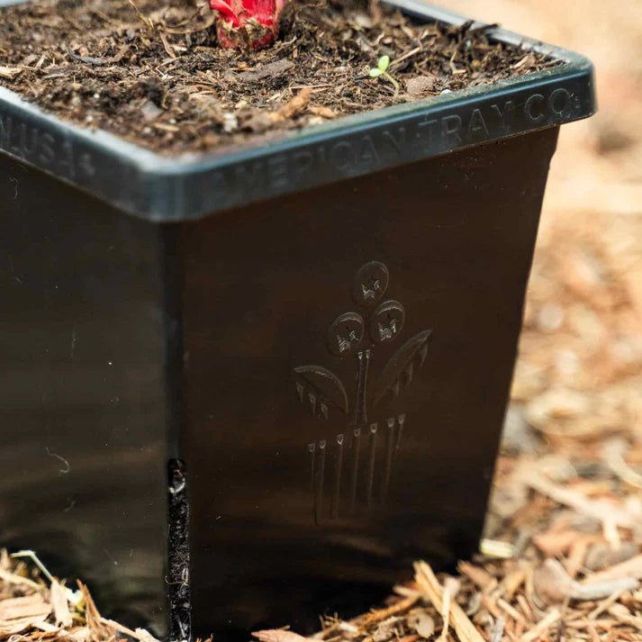 Epic Gardening 5 Inch Cube Pot Black 1 Pot - Indoor Farmer