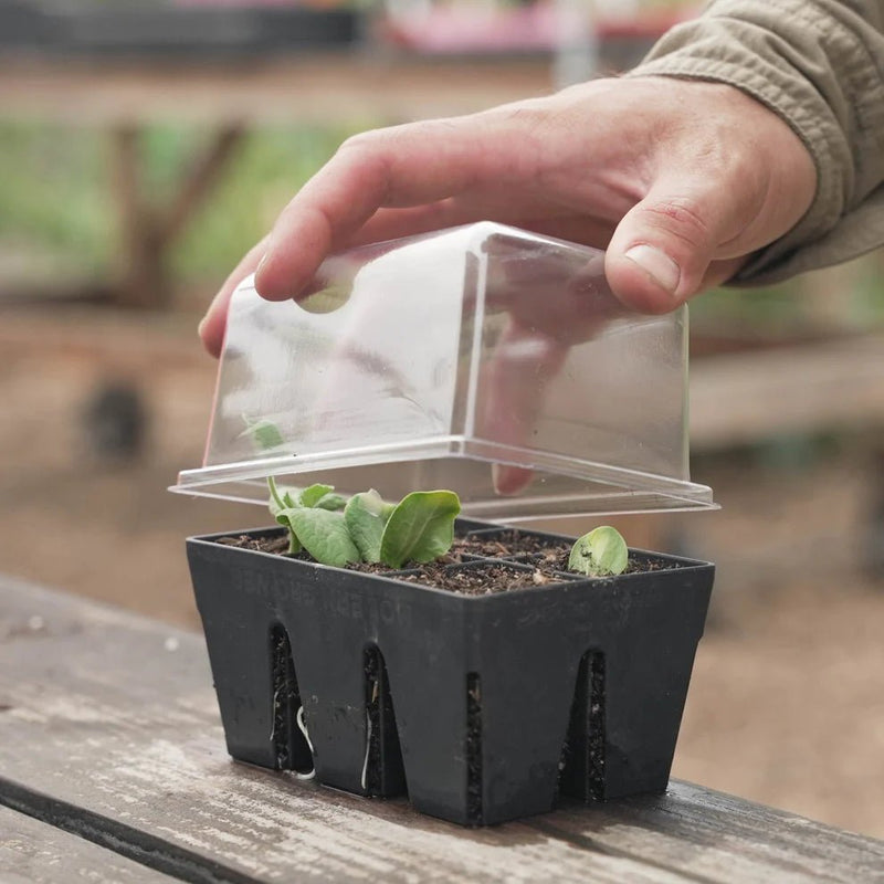 Epic Gardening 6-Cell Trays Germination Domes & Bottom Trays - Indoor Farmer