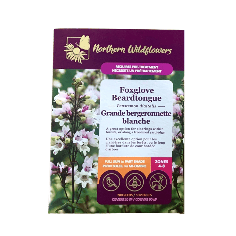 Foxglove Beardtongue Seeds Approx. 200 seeds - Indoor Farmer