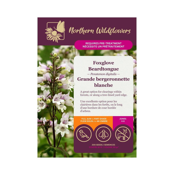 Foxglove Beardtongue Seeds Approx. 200 seeds - Indoor Farmer