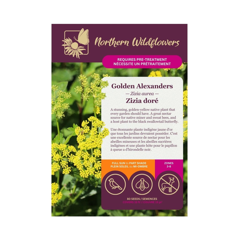 Golden Alexanders Seeds Approx. 80 seeds - Indoor Farmer