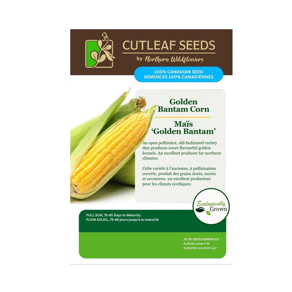 Golden Bantam Corn Seeds Approx. 30 - 35 seeds - Indoor Farmer