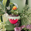 GreenStalk Berry Cup - Set of 6 - Indoor Farmer