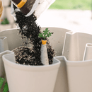 GreenStalk Carrot Cap - Set of 4 - Indoor Farmer