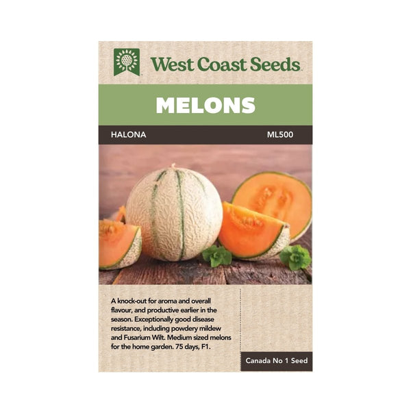 Halona Cantaloupe Seeds 0.3g (Approx. 12 seeds) - Indoor Farmer