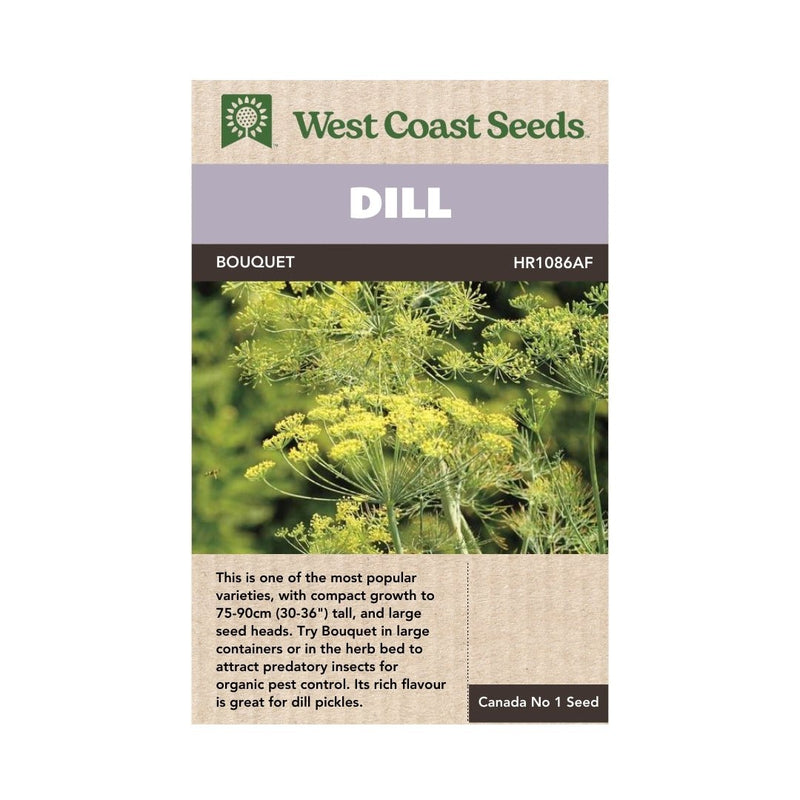 Herbs - Bouquet Dill Seeds 0.5g (Approx. 276 seeds) - Indoor Farmer