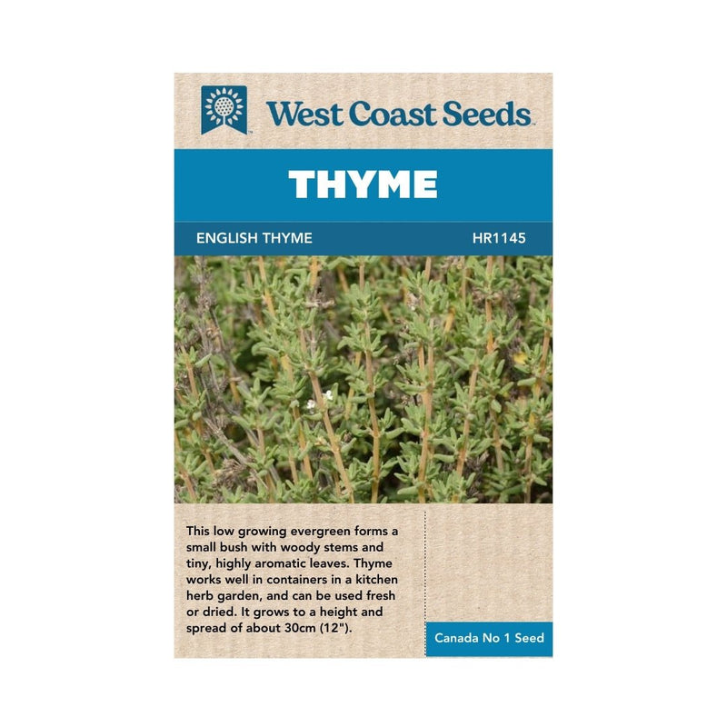 Herbs - English Thyme Seeds 0.1g (Approx. 348 seeds) - Indoor Farmer