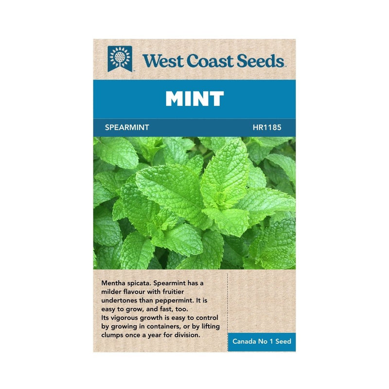 Herbs - Spearmint Seeds 0.25g (Approx. 2500 seeds) - Indoor Farmer