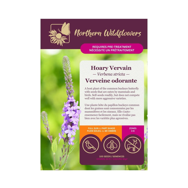 Hoary Vervain Seeds Approx. 100 seeds - Indoor Farmer