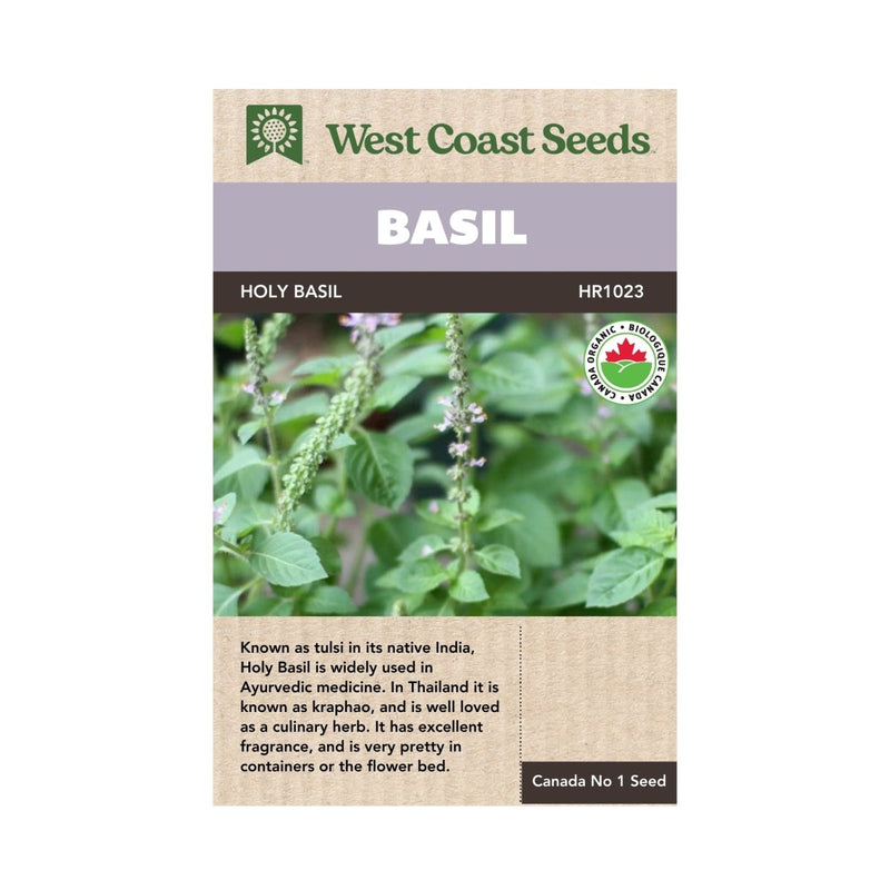 Holy Basil Organic Seeds 0.25g (Approx 395 Seeds) - Indoor Farmer