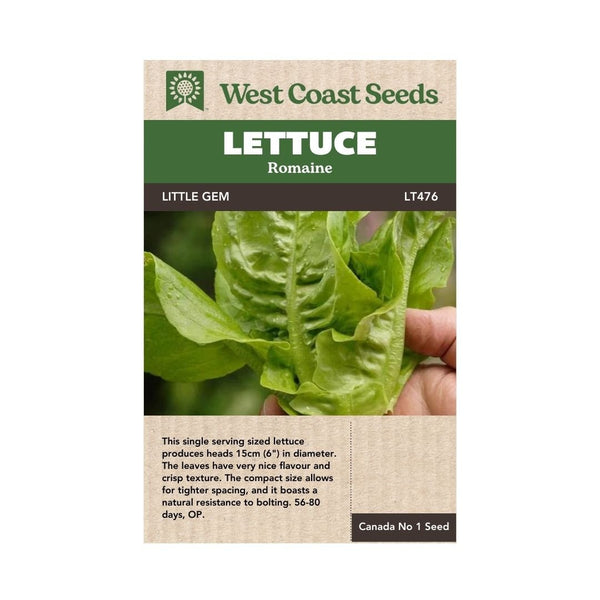 Lettuce - Little Gem Romaine Lettuce Seeds 1g (Approx. 1050 seeds) - Indoor Farmer