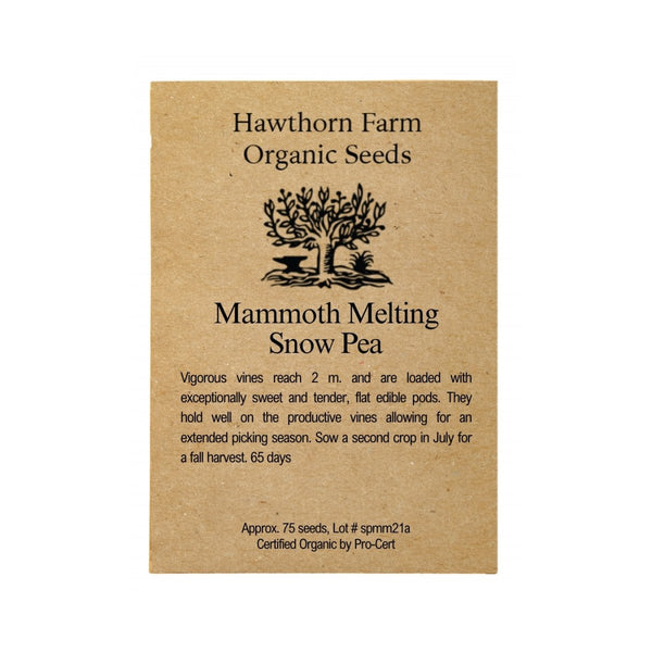 Mammoth Melting Snow Pea Seeds 75 Seed Packet - Indoor Farmer