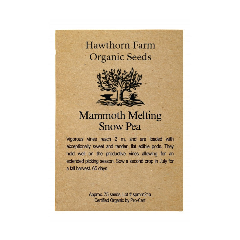 Mammoth Melting Snow Pea Seeds 75 Seed Packet - Indoor Farmer