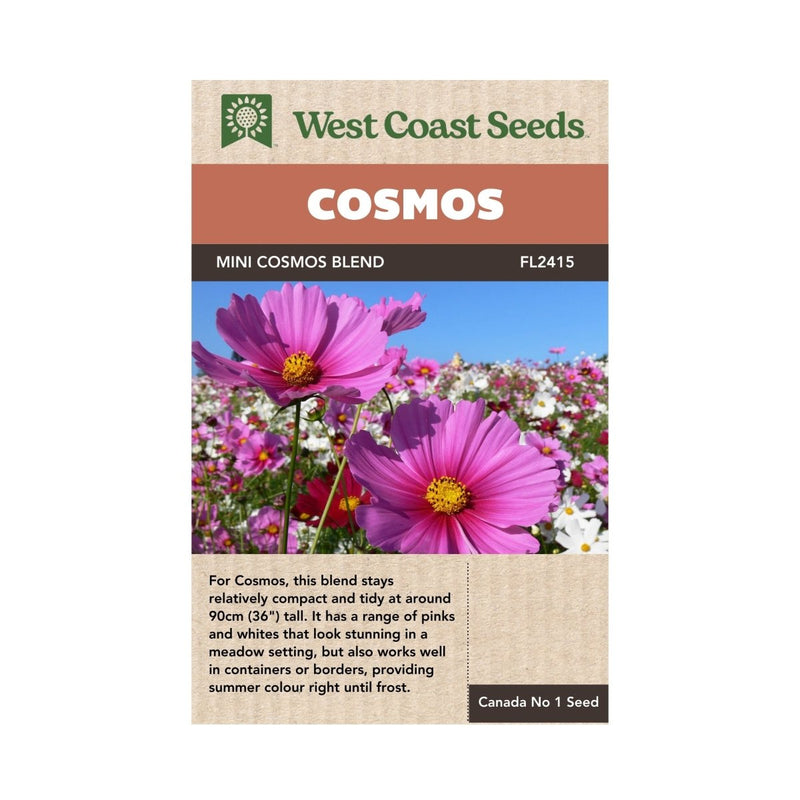 Mini Blend Cosmos Seeds 1g (Approx. 160 seeds) - Indoor Farmer