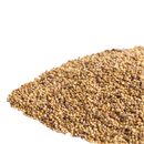 Mumm's Sprouting Seeds Sandwich Booster 125g - Indoor Farmer