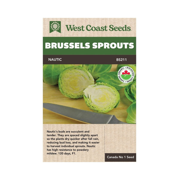 Nautic Coated Organic Brussels Sprout Seeds 25 seeds - Indoor Farmer