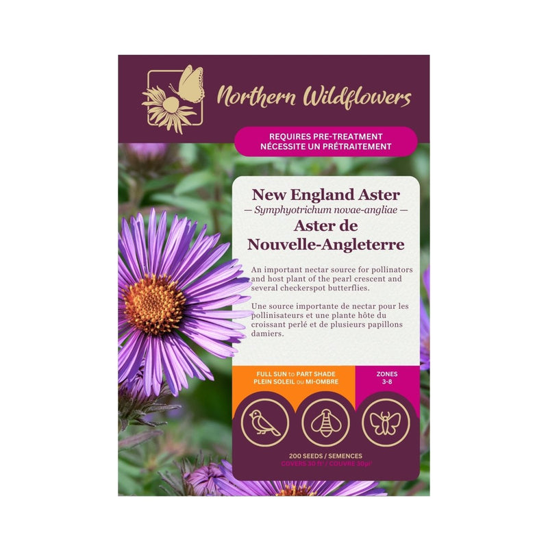 New England Aster Seeds Approx. 200+ seeds - Indoor Farmer