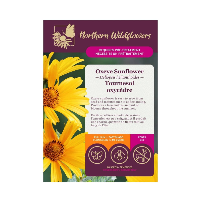 Oxeye Sunflower Seeds Approx. 40 seeds - Indoor Farmer