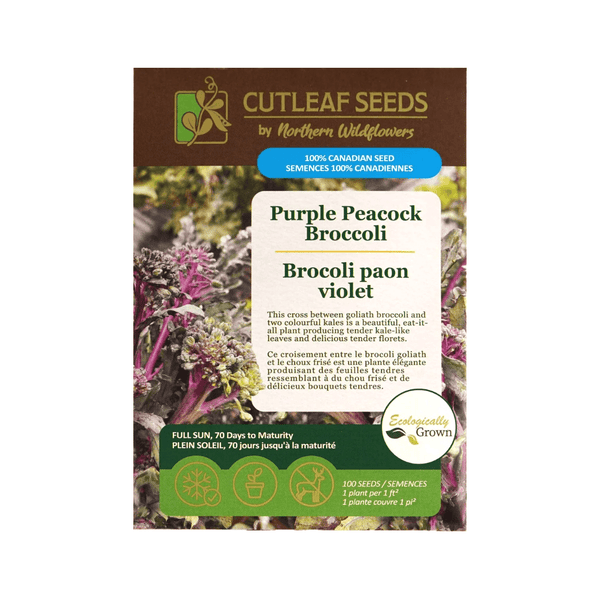 Purple Peacock Broccoli Seeds Approx. 100 seeds - Indoor Farmer