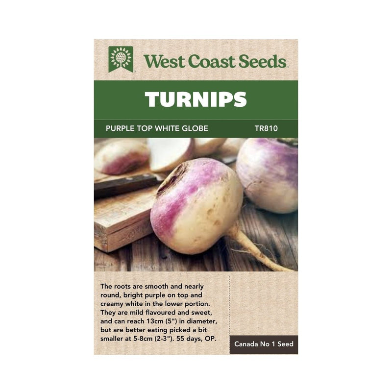 Purple Top White Globe Turnip Seeds 1g (approx. 410 seeds) - Indoor Farmer